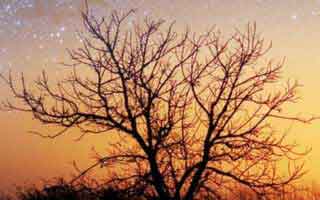 91大事件：这波91视频的讨论方向彻底变了，你了解吗？