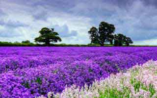 一口气看完才后怕：91爆料猛料吃瓜后劲重得有点离谱，这次不只是热度高，让人怀疑还有没放出的内容