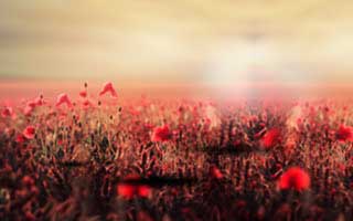 不算热闹却很重要：91大事件线路和91网的备用入口的更换顺序