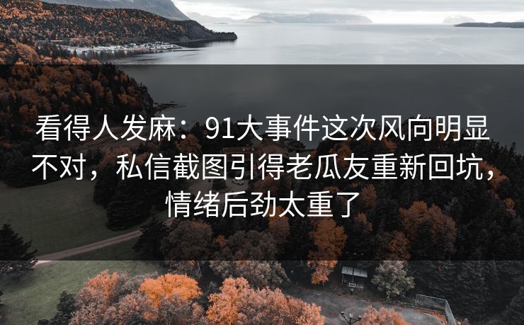 看得人发麻：91大事件这次风向明显不对，私信截图引得老瓜友重新回坑，情绪后劲太重了