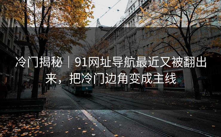 冷门揭秘｜91网址导航最近又被翻出来，把冷门边角变成主线