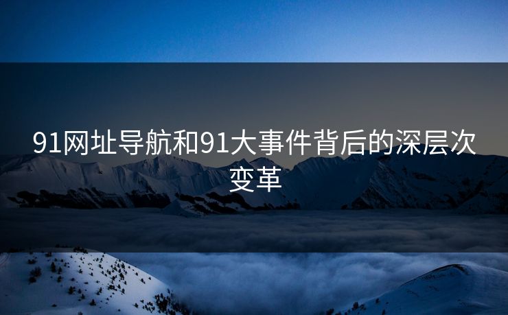 91网址导航和91大事件背后的深层次变革