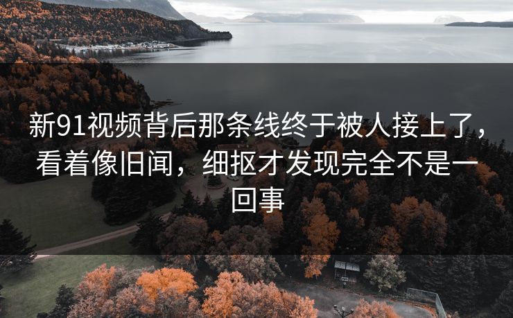 新91视频背后那条线终于被人接上了，看着像旧闻，细抠才发现完全不是一回事