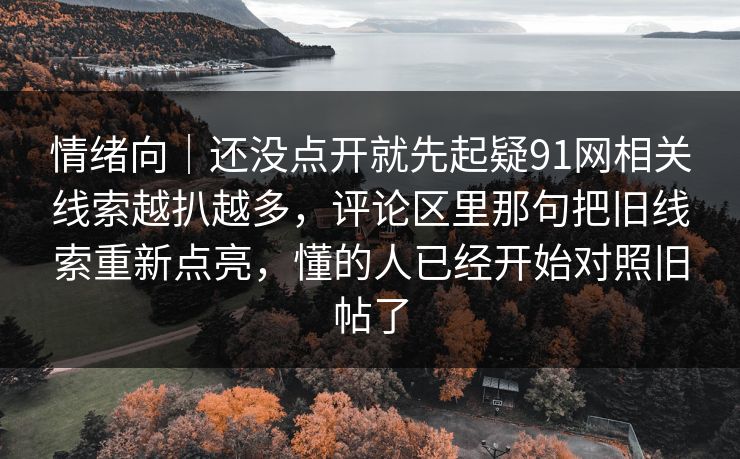 情绪向｜还没点开就先起疑91网相关线索越扒越多，评论区里那句把旧线索重新点亮，懂的人已经开始对照旧帖了