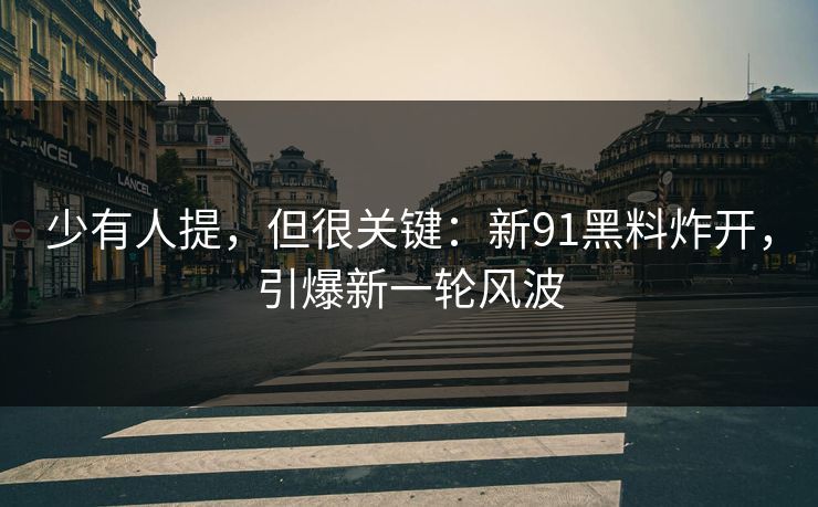 少有人提，但很关键：新91黑料炸开，引爆新一轮风波