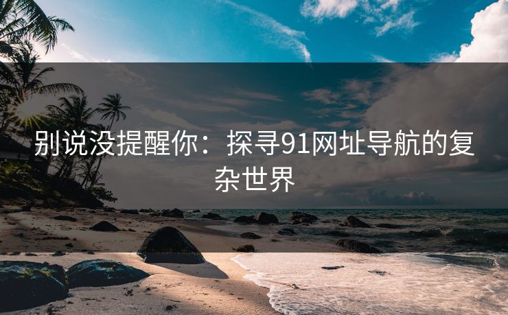 别说没提醒你：探寻91网址导航的复杂世界