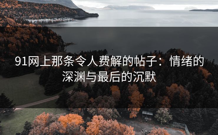 91网上那条令人费解的帖子：情绪的深渊与最后的沉默