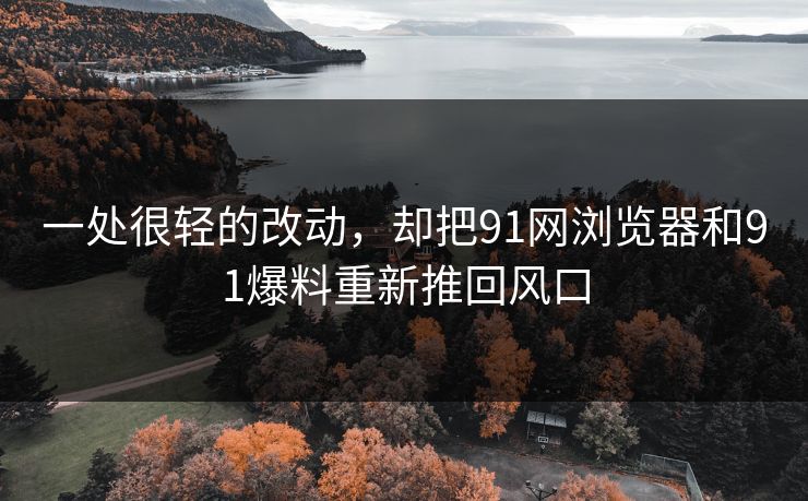 一处很轻的改动，却把91网浏览器和91爆料重新推回风口