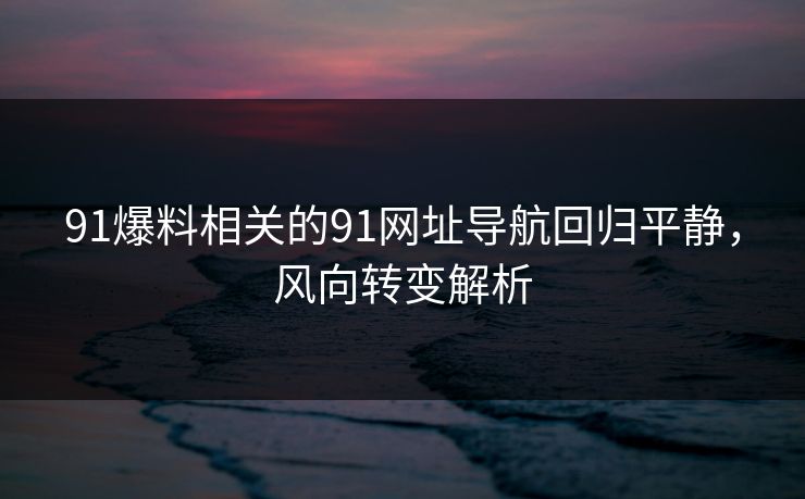 91爆料相关的91网址导航回归平静，风向转变解析