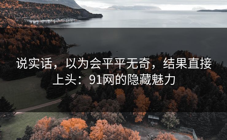 说实话，以为会平平无奇，结果直接上头：91网的隐藏魅力