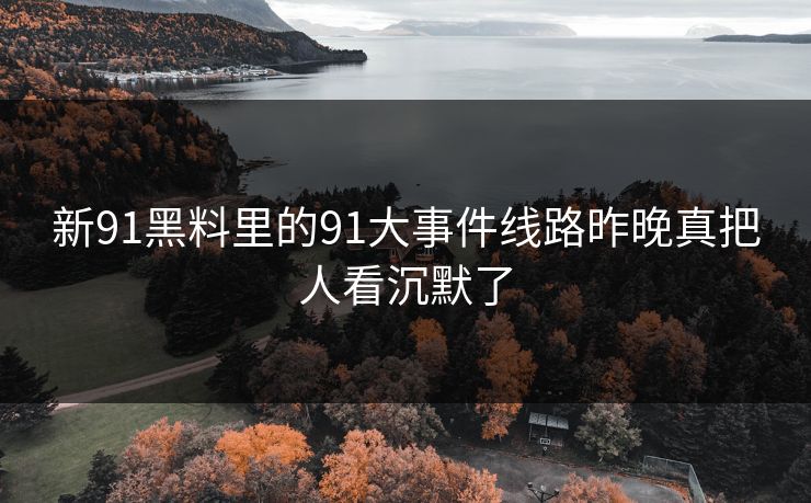 新91黑料里的91大事件线路昨晚真把人看沉默了